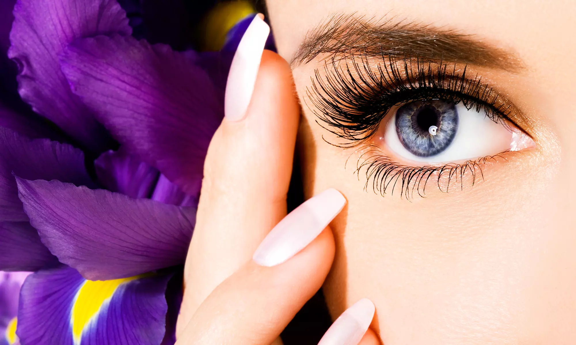 One or Three Eyelash Perms or One Shellac Mani-Pedi at Shuku 2 Salon Spa (Up to 72% Off) - Primary Image