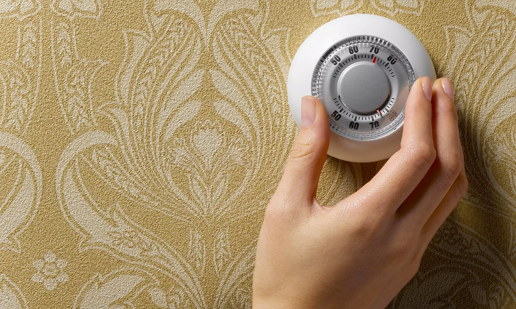 AC Tune-Up and Inspection, or Furnace Tune-Up and Cleaning from Scott Hale Plumbing Heating and Air (79% Off) - Primary Image