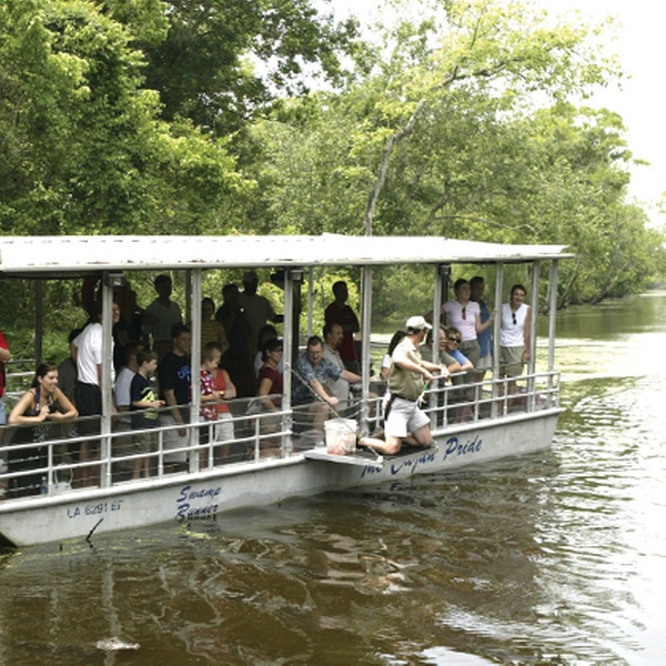 cajun pride swamp tour groupon