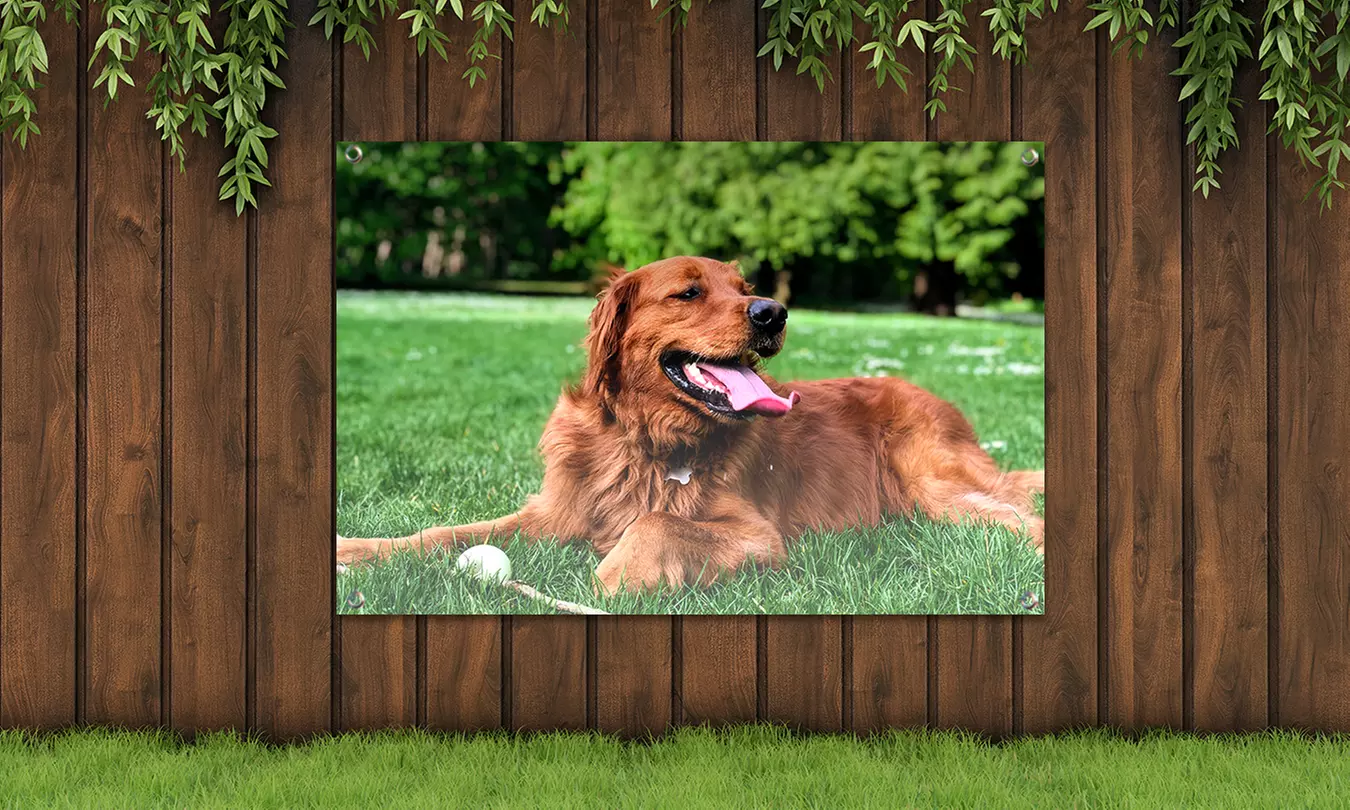 Je foto op een tuinposter