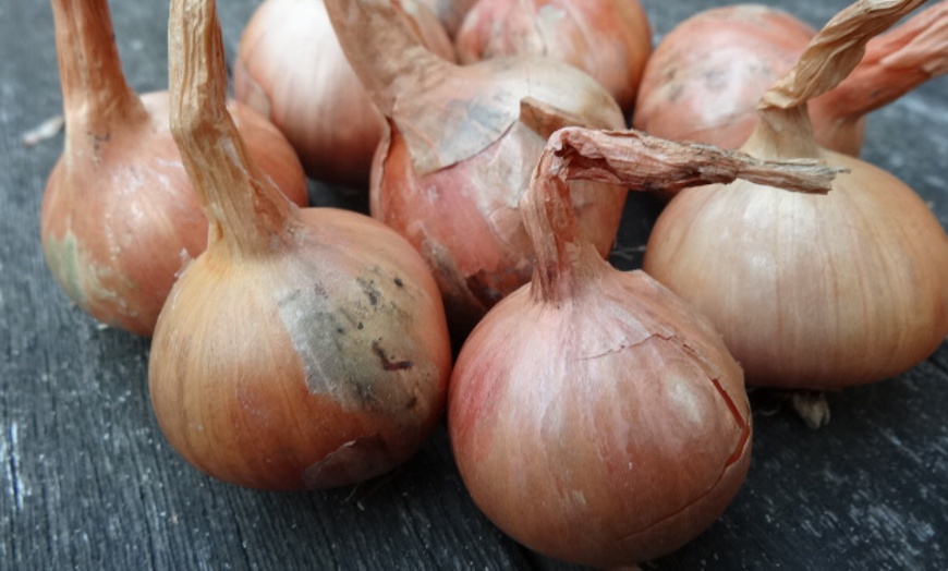 Image 4: Onion and Garlic Bulb Collection