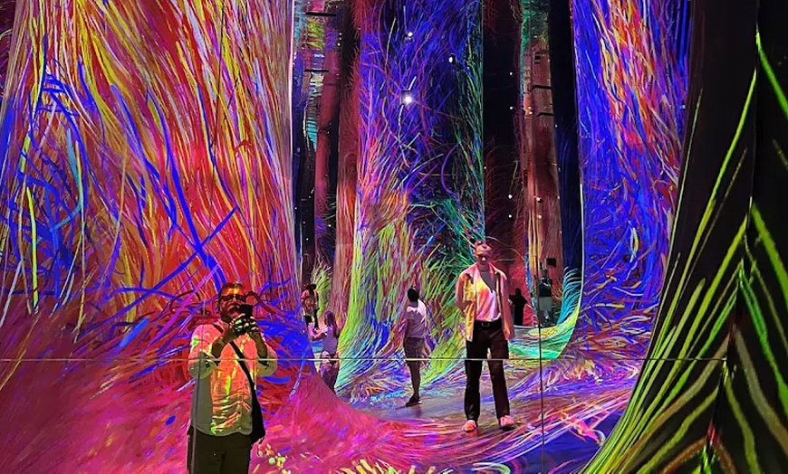 Image 8: Explore TeamLab Phenomena General Admission for Adults and Youths