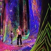 Image 8: Explore TeamLab Phenomena General Admission for Adults and Youths