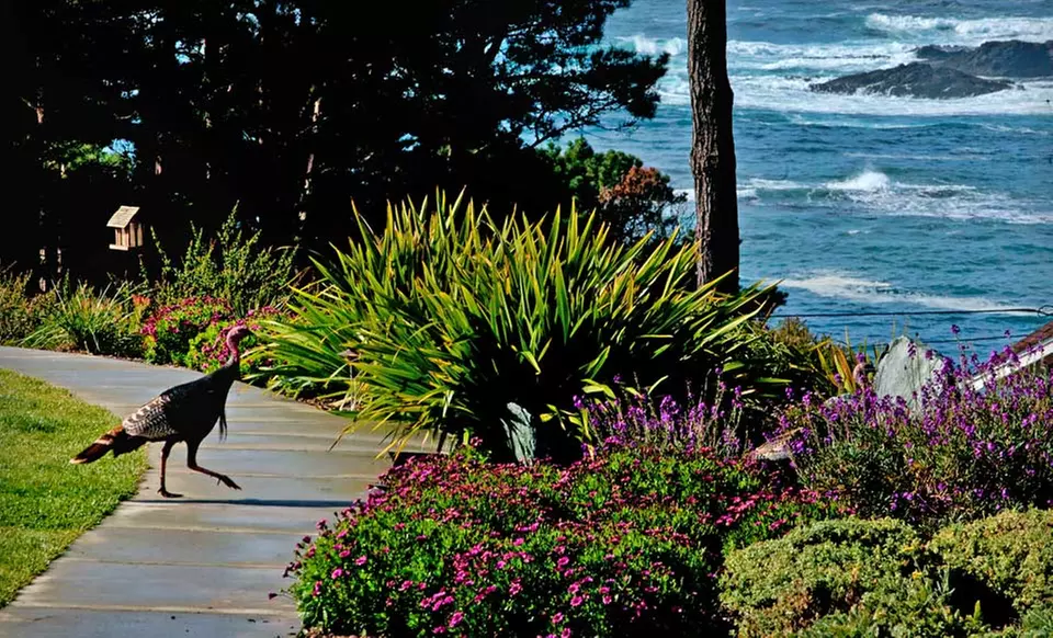 1- or 2-Night Stay for Two with Daily Breakfast at the Cottages at Little River in Little River, CA - Second Medium