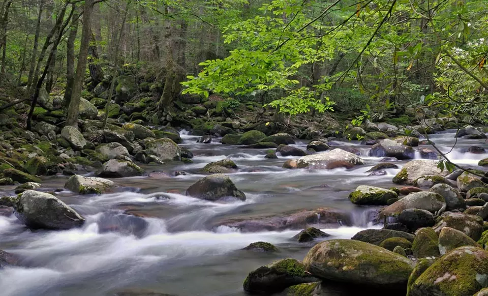 1- or 2-Night Stay with Optional Dinner for Two at Chestnut Ridge Country Inn in Pocahontas County, WV - Second Medium