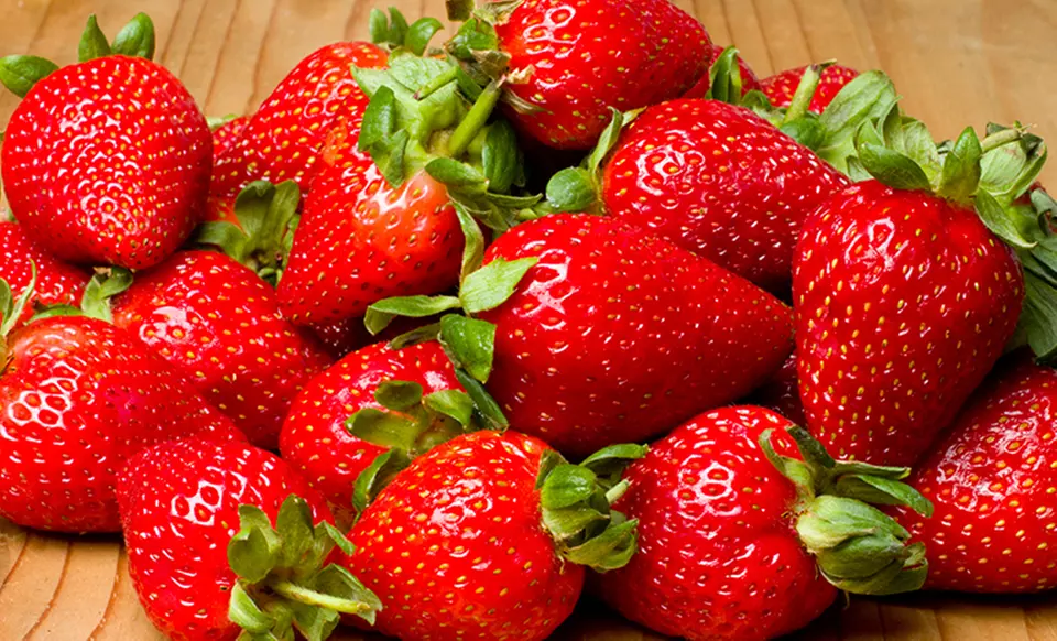Package of 50 Strawberry Everbearing Plants with 20 Quinault and 30 Ozark Beauty Varieties - Second Medium