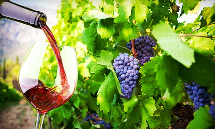 Barclays Wine Inc **NAT** in - Dayton | Groupon