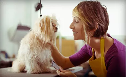 Mobile Dog Grooming for a Small, Medium, or Large Dog from HydroDog (Up to 53% Off) - Primary Image
