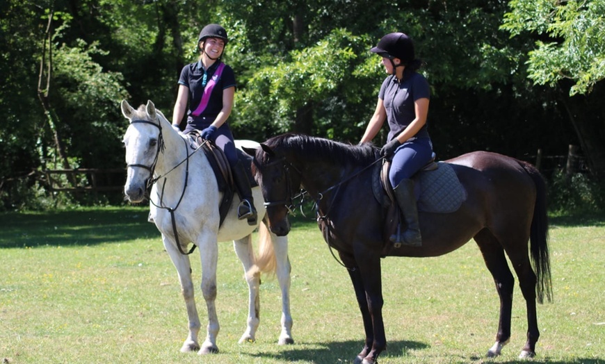 Image 2: Group Horse Riding Class