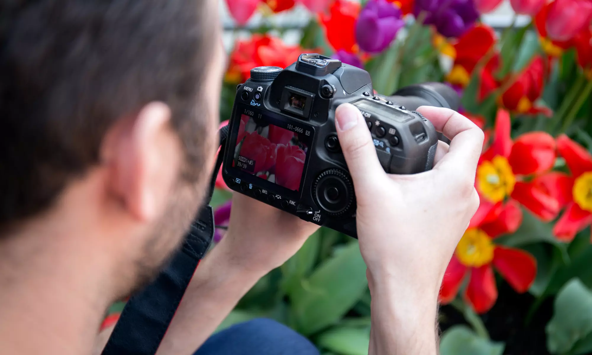 7-Hour "Digital in a Day" Photography Workshop for One or Two from Chicago Photography Academy (Up to 77% Off) - Primary Image