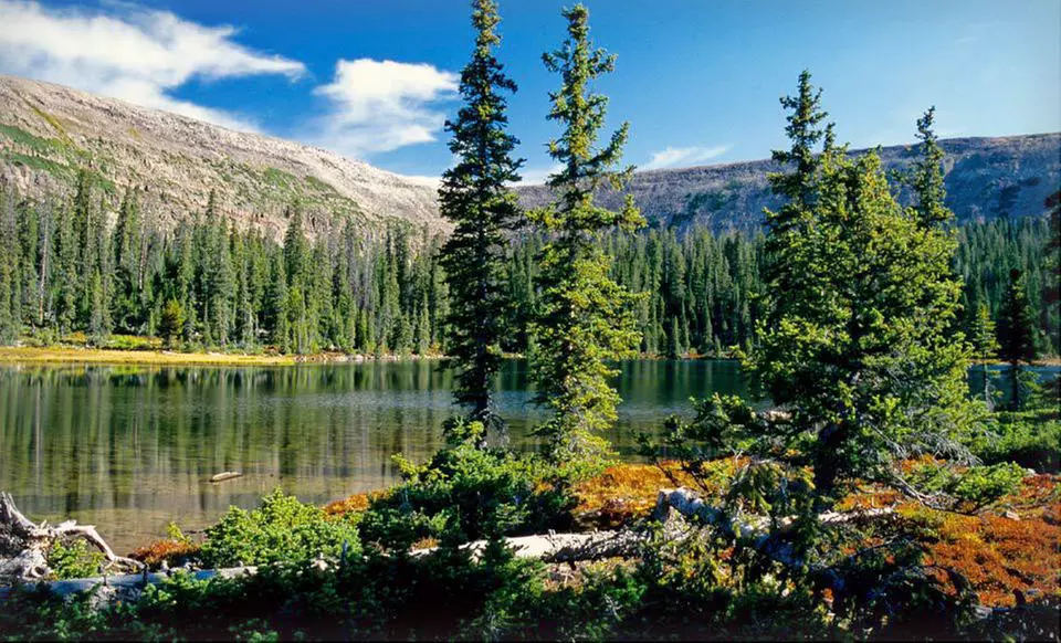 2-Night Stay with Optional ATV Rental at The Cabins at Bear River Lodge in Utah. - Primary Image