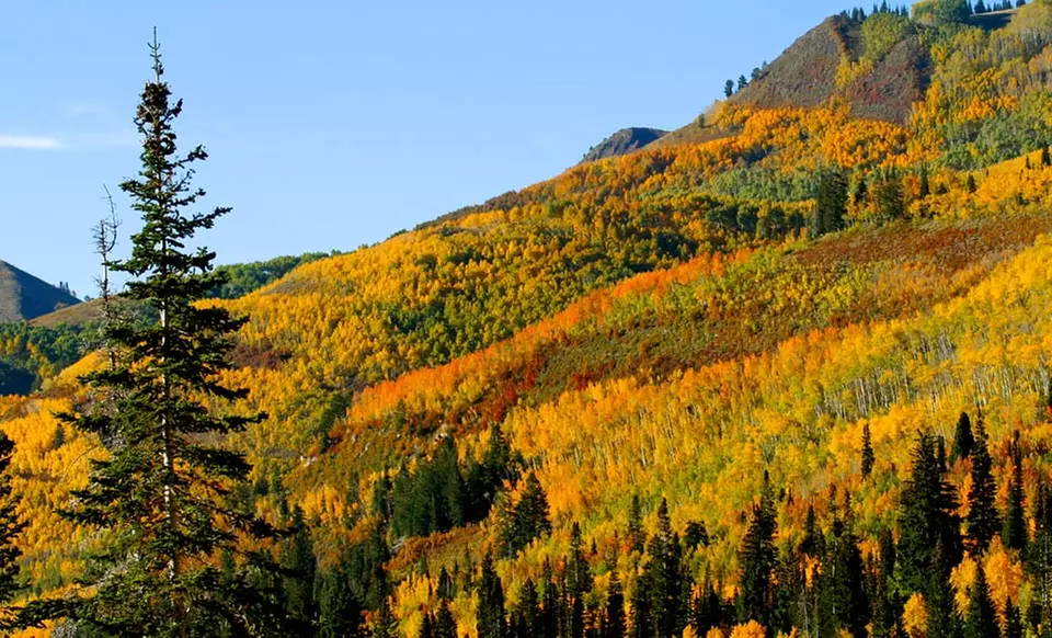 1- or 2-Night Stay with Optional Bottle of Wine at Shadow Ridge Resort Hotel and Conference Center in Park City, UT - Primary Image