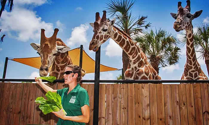 One-Year Individual or Family or Grandparent Membership to Naples Zoo at Caribbean Gardens (Up to 50% Off) - Primary Image