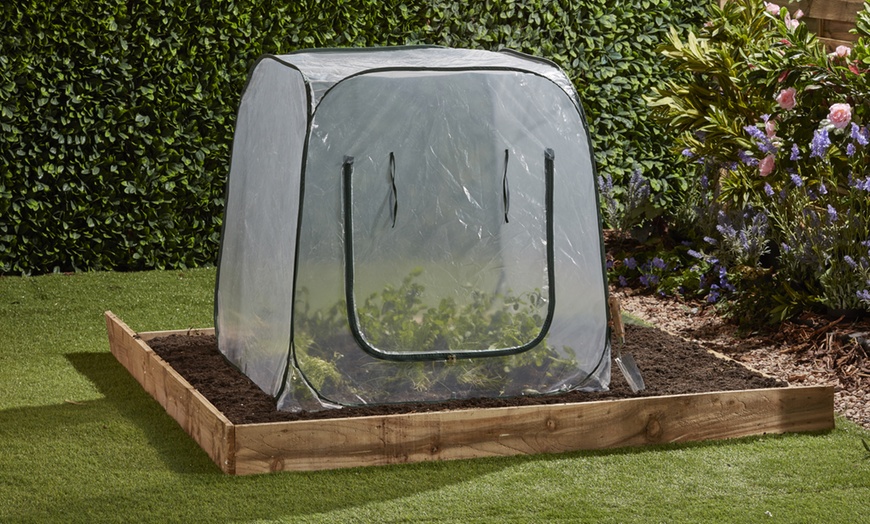 Image 5: One or Two Pop-Up Garden Cloches