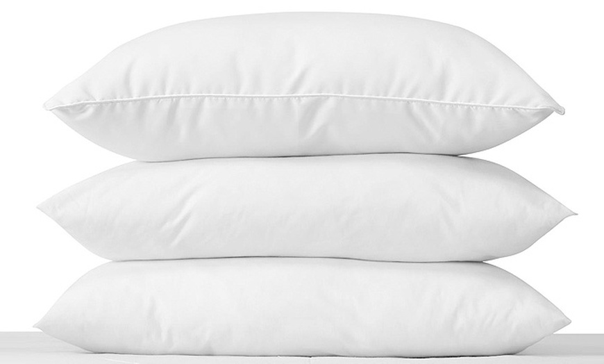 Groupon hot sale feather pillows