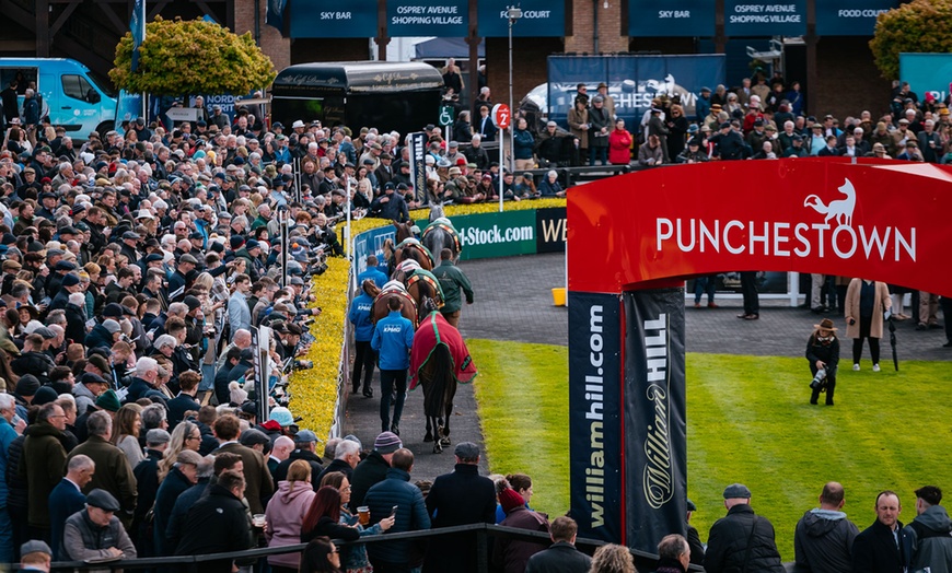 Image 9: Grade 1 Races & Live Entertainment with Punchestown Flexi Ticket 