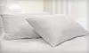 Two-Pack of Smooth or Quilted Natural-Fill Pillows (Up to 52% Off)