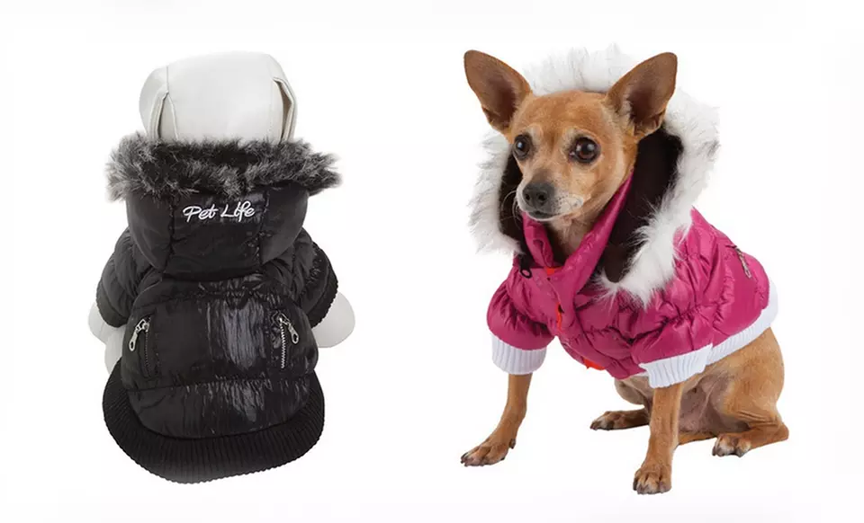 Metallic Dog Parkas. Multiple Styles Available. Free Shipping and Returns. - Primary Image