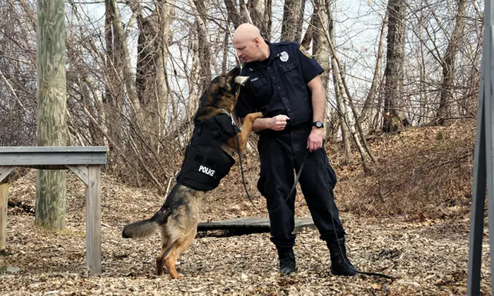 $10 Donation to Help Supply Bullet- and Stab-Protective Vests for Police Dogs  - Second Medium