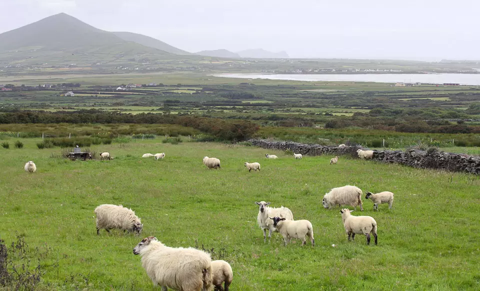 7-Day Ireland Vacation with Round-Trip Airfare, Hotels, and Rental Car from Great Value Vacations - Primary Image