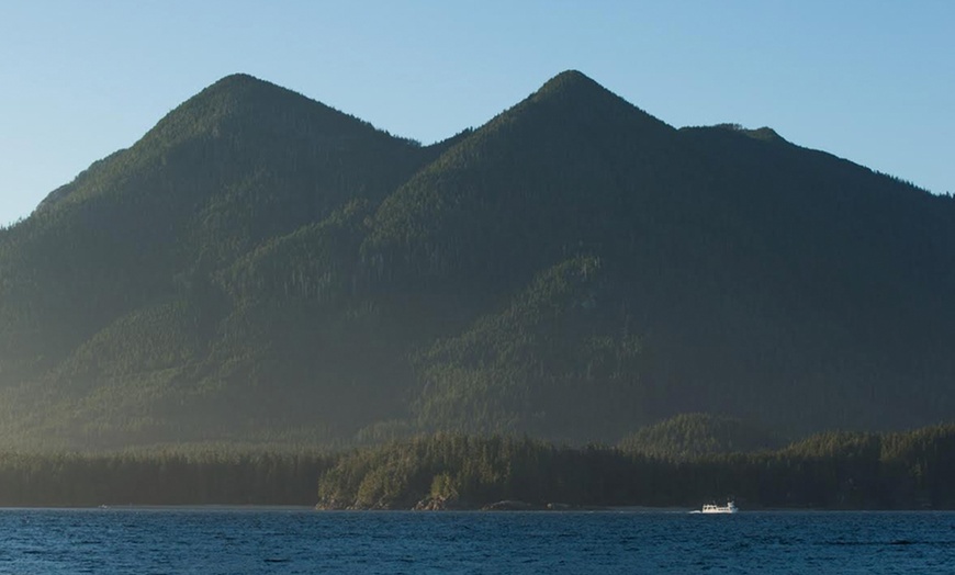 Whale Watching or Hot Springs - Jamie's Whaling Station - Tofino ...