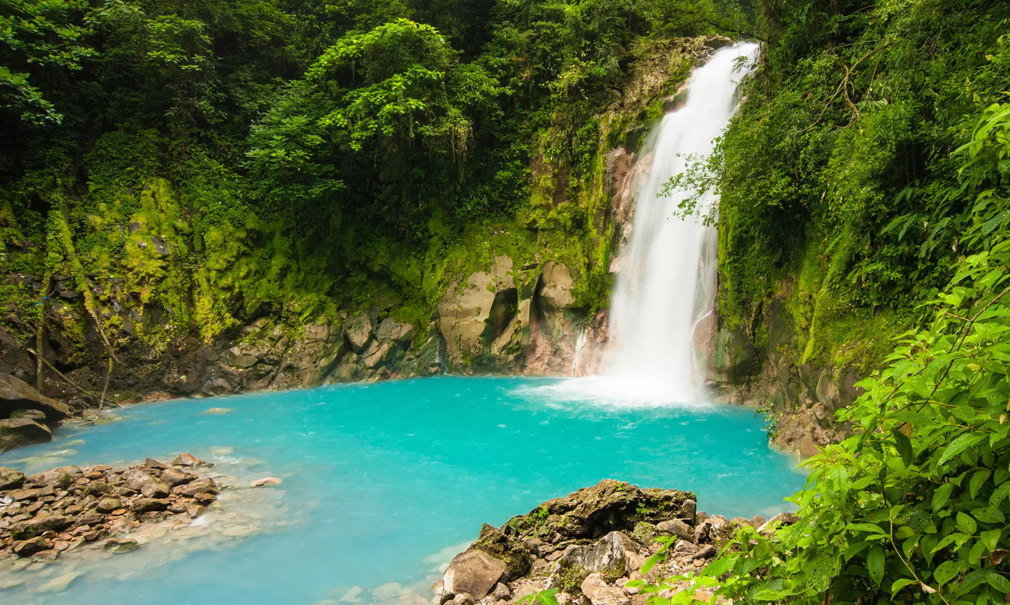 Tour of Costa Rica. Price is per Person, Based on Two Guests per Room. Buy One Voucher per Person. - Primary Image