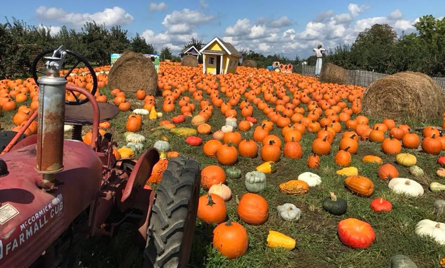 Image 3: Farmtastic Day to Pick Your Own Pumpkins, Solo or Family of 1-4 People
