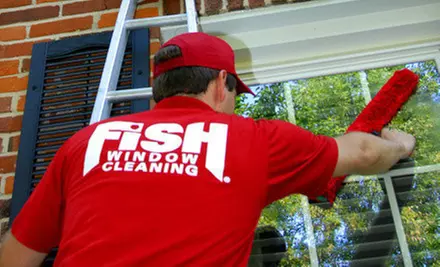 $49 for Cleaning of Up to 15 Windows from Fish Window Cleaning ($120 Value)  - Primary Image