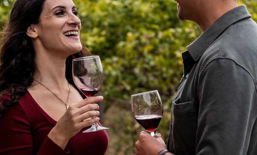 Image 2: Menú comida con visita a bodega con paseo por la finca y cata de vino