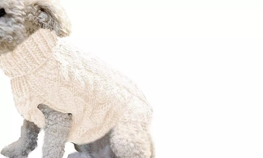 Knitted Dog Jumper