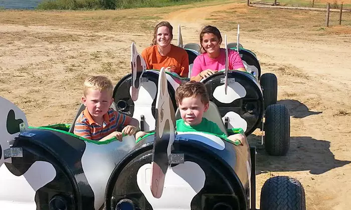 Corn Maze and Fall Fun Passes or Season Pass at Sunny Day Farms and Corn Maze (Up to 44% Off) - Primary Image