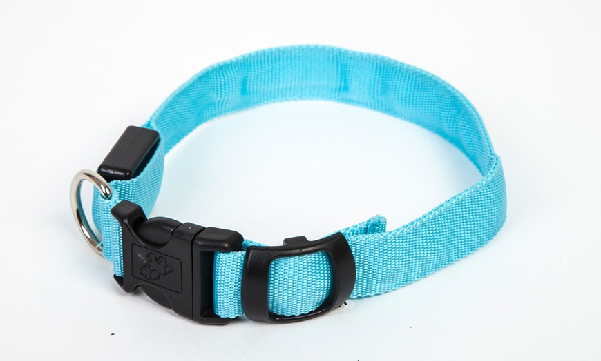 Image 10: LED Dog Collars