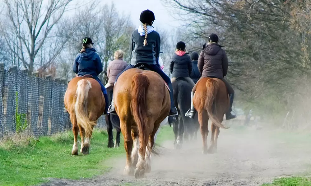 One-Hour Guided Horseback Trail Ride for One, Two, or Four at Wild Rose Equine Center (Up to 32% Off) - Primary Image