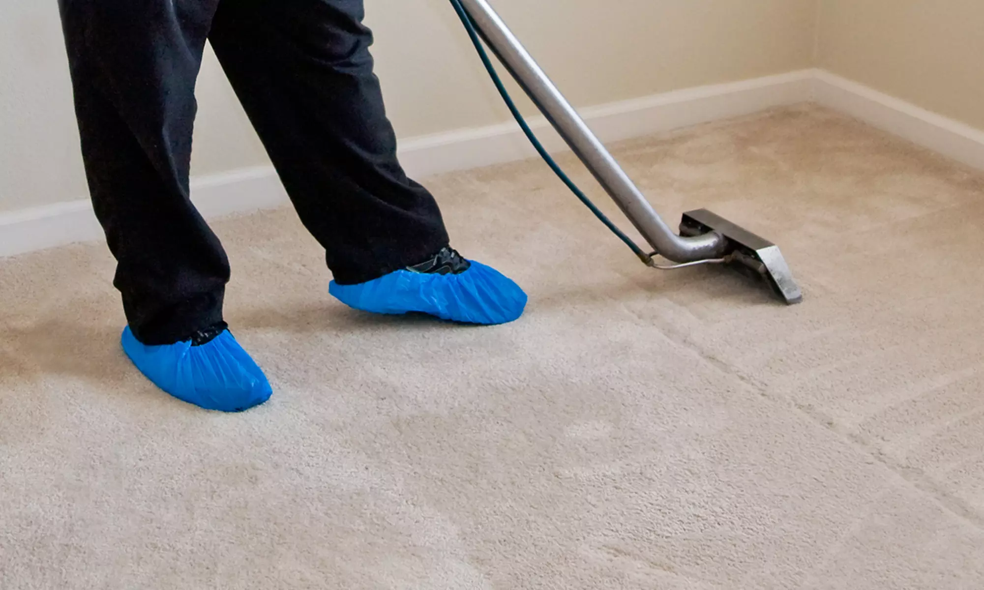 Whole-House Carpet Cleaning with Optional Rotovac 360i Treatment from Eco Carpet Cleaning (50% Off) - Primary Image