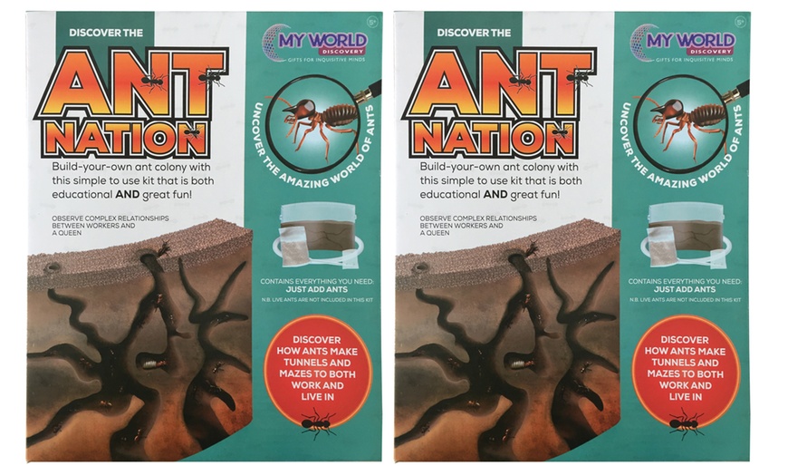 Image 2: One or Two Ant Nation Build Your Own Ant Colony Kits