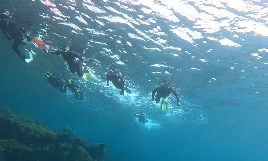 Image 12: Experiencia de snorkel con equipamiento y fotos para 1, 2 o 4 personas