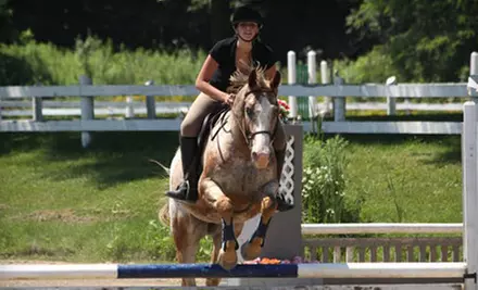 One-Hour Private Horseback-Riding Lesson for One or Two at The Ajax Riding Academy (Up to 75% Off) - Primary Image
