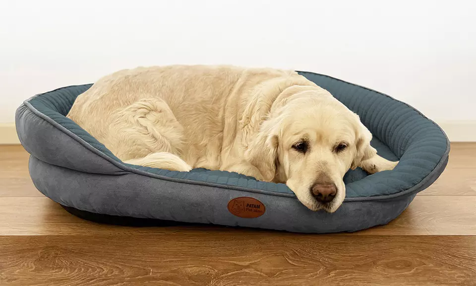 Cucce, lettini e divanetti per cani e gatti in vari modelli e misure