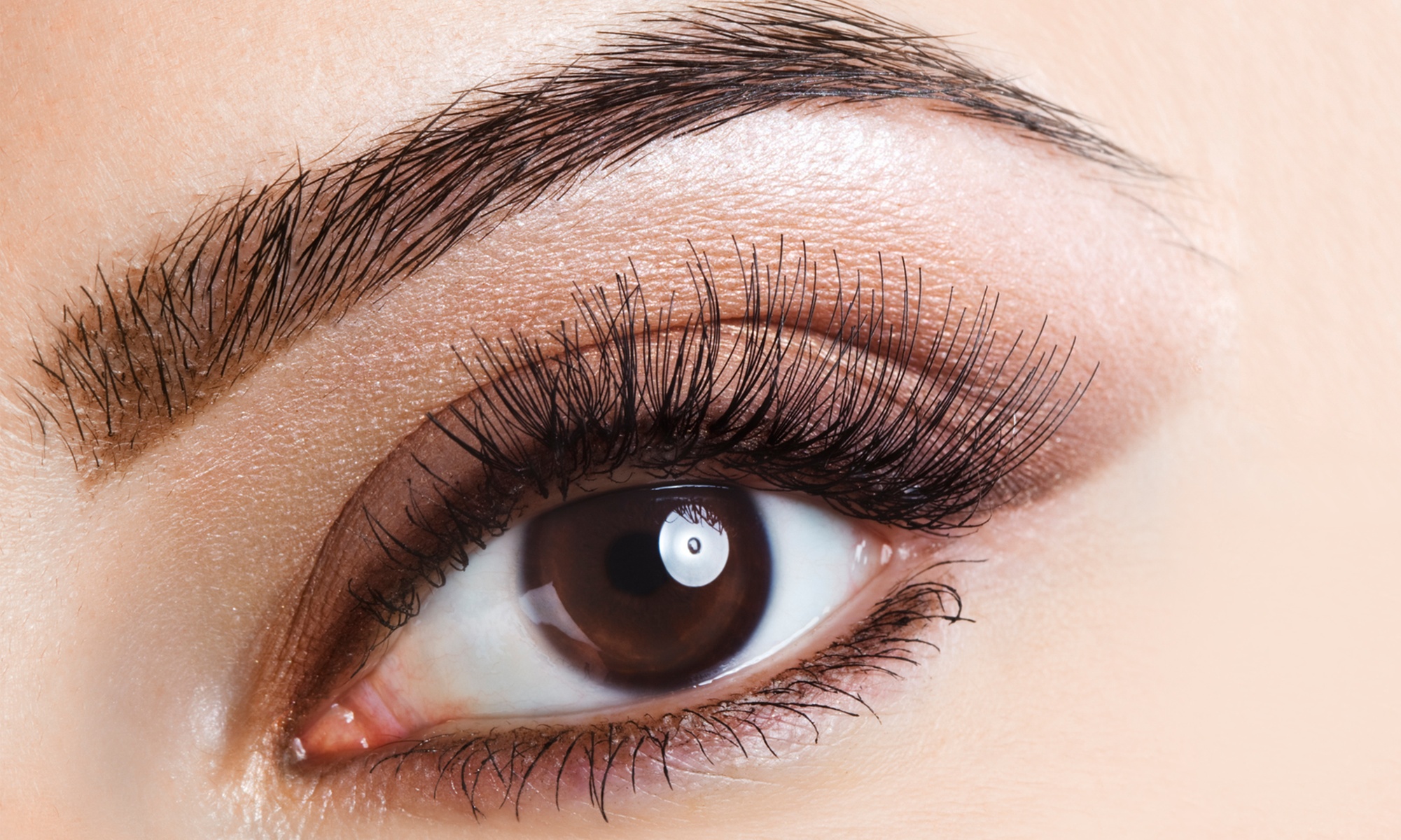 Up to 40% Off on Eyebrow Tinting at LV.Esthetics L.L.C
