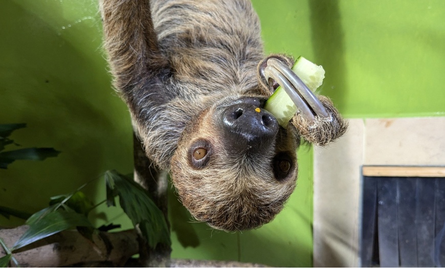 Image 9: Tiergarten Kleve – Ticket für 2 Erwachsene / 1 Kind, gültig bis 09.10.