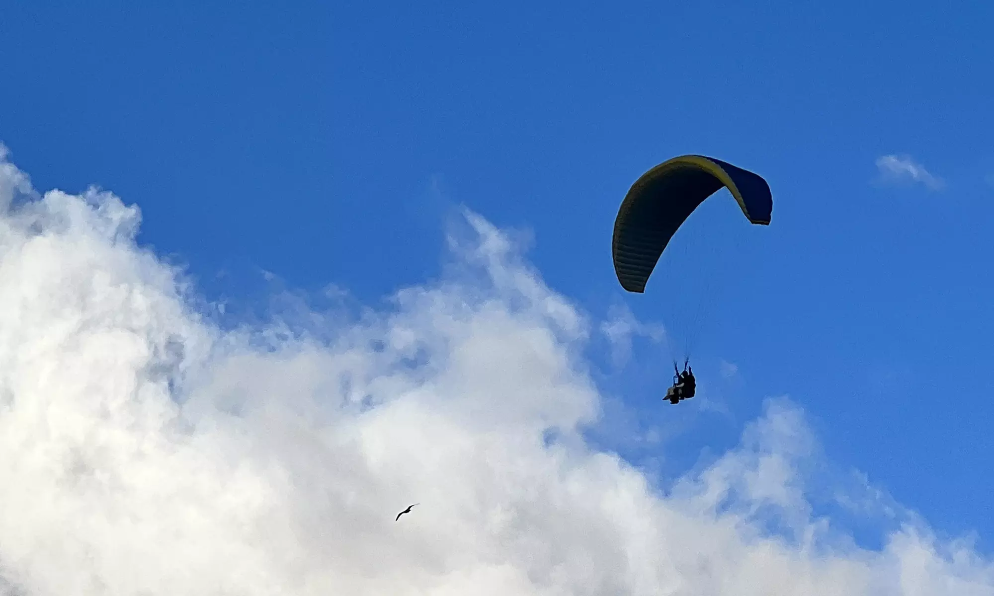 Vuelo biplaza en parapente para una o dos personas en Asturias
