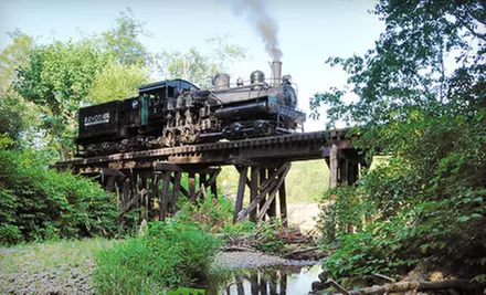 $12 for a Regular Steam-Engine Excursion for One from Mt. Rainier Scenic Railroad (Up to $24 Value) - Primary Image