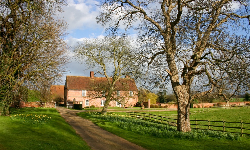 Image 2: Vineyard Tour for Two