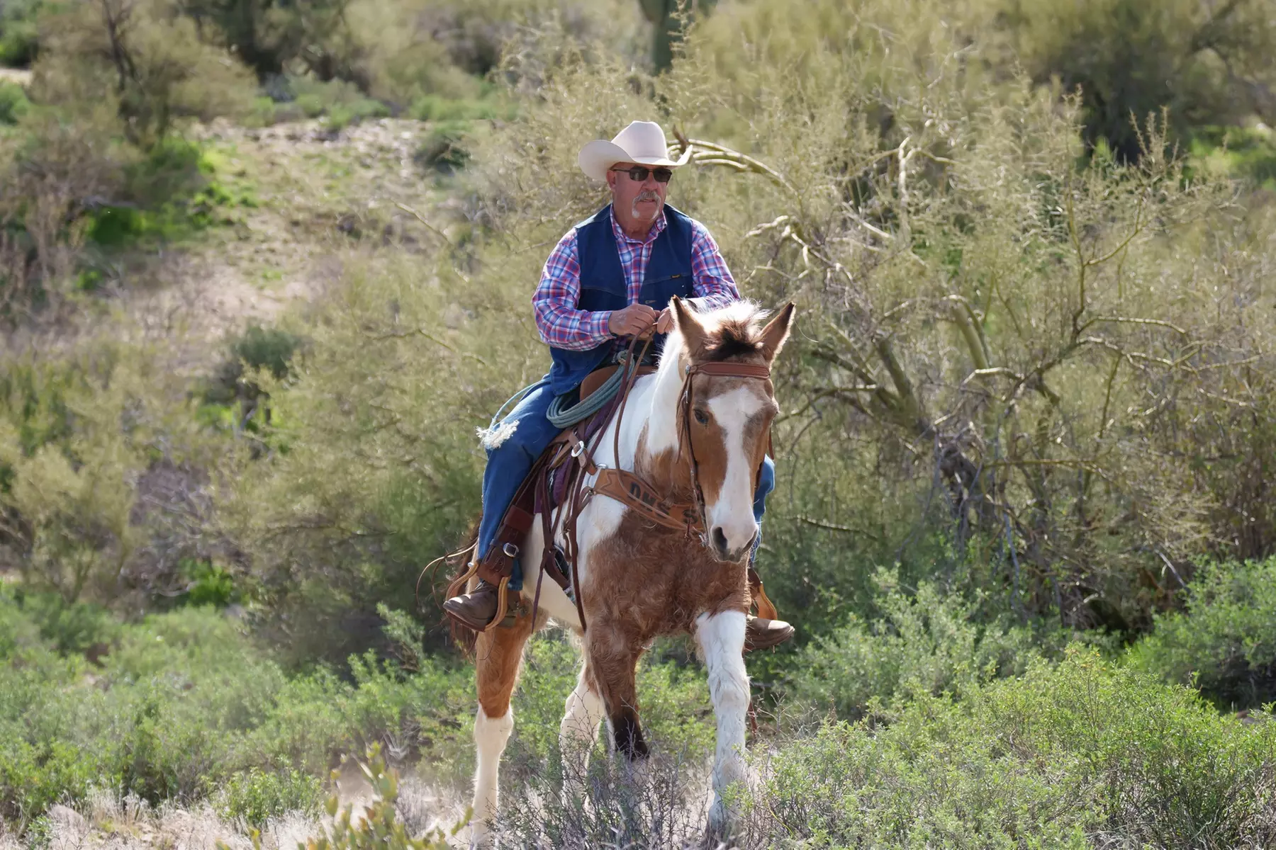 ♞ Experience 90-Minutes of Horseback Adventures