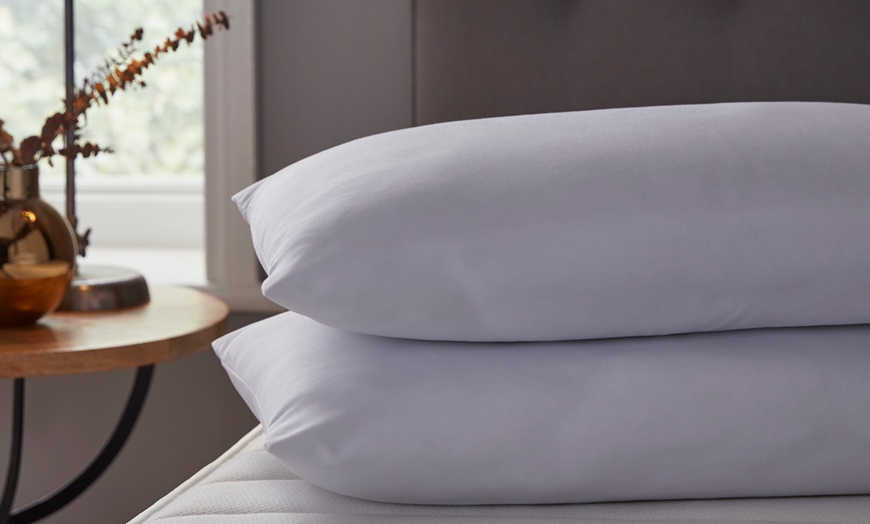 Image 2: Silentnight Cosy Pillows Two-Pack