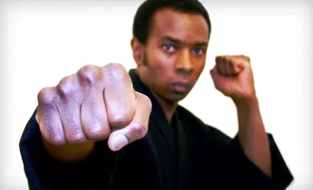 10 or 20 Martial-Arts or Kickboxing Classes at Duncan Martial Arts (Up to 87% Off) - Primary Image
