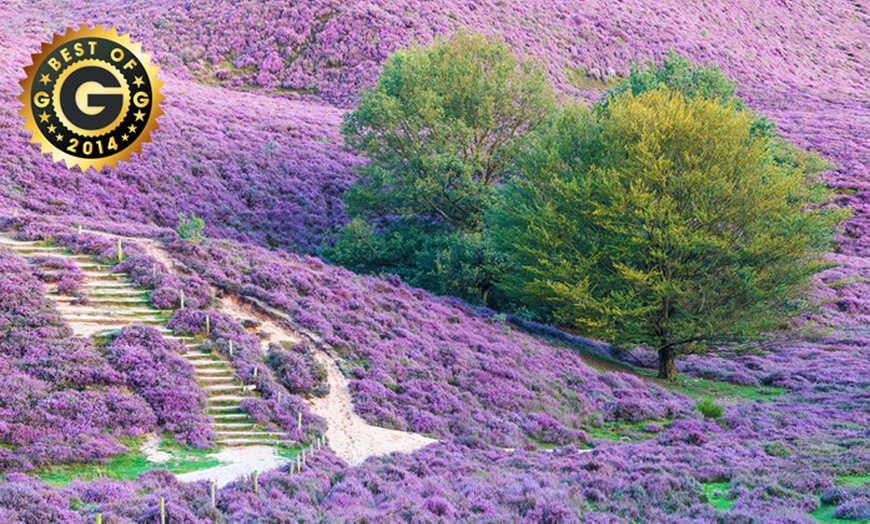 Image 1: Luxe op de Veluwe