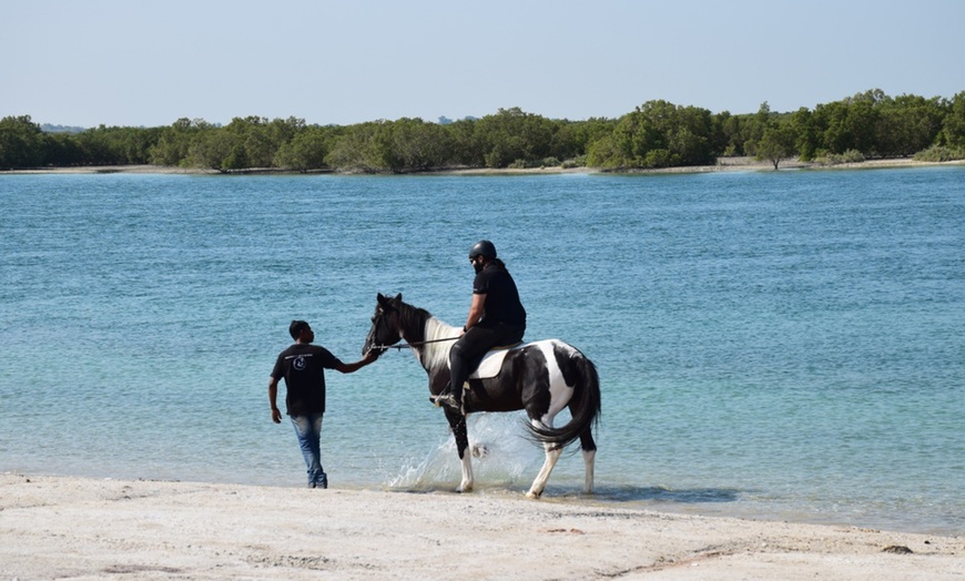 Image 1: One-Hour Desert Horse Ride