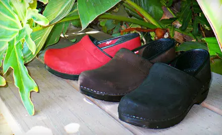 $45 for $90 Worth of Shoes from Clogkingdom.com - Primary Image