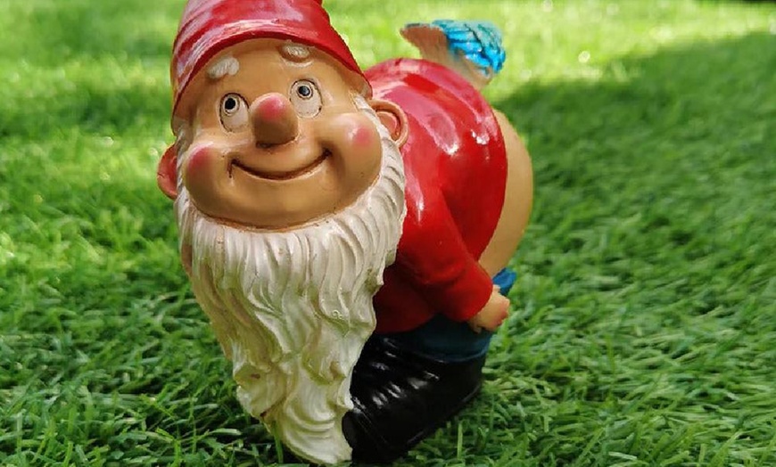 Image 3: Funny Gnome